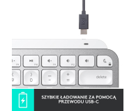 LOGITECH MX Keys Mini Mac Pale 920-010526 jasnoszara - 680466 - zdjęcie 14
